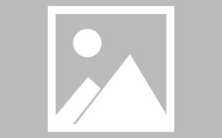 老河口龙江乐从网站建设（乐从和龙江）